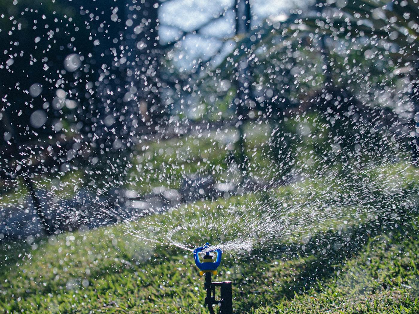 Pop-up sprinkler head spraying a clean arc over a green lawn at dusk.