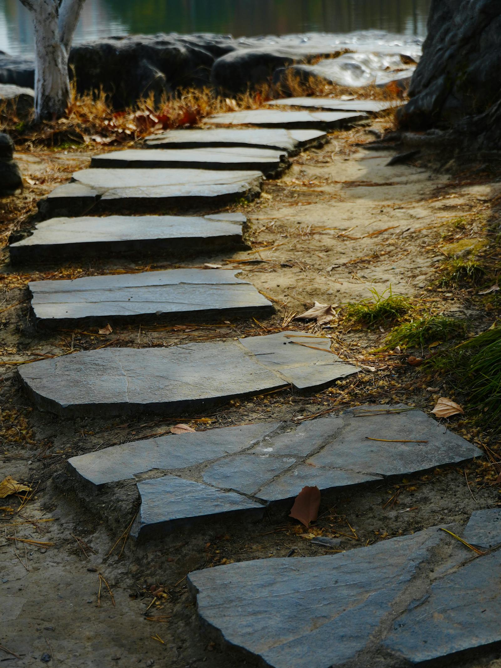 Natural-stone walkway through a planted bed leading to a wood front door.